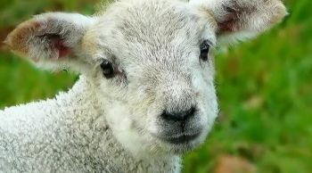 Who is Christ? Part 2