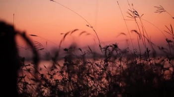 A reading from the book of 1 Corinthians 13