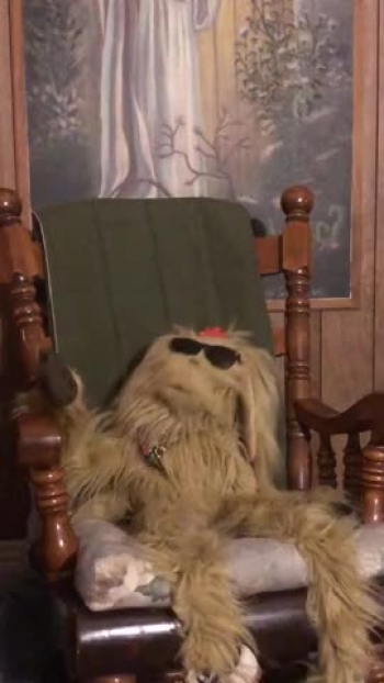 MeMe, Knox's faithful canine, encourages children to Trust in the Lord because he will be there for them (Isaiah 41:10).<br />Knox Evangelical Presbyterian Church is located in Kenmore, NY.  Find out more about all things Knox on our webpage at knoxepc.com.  Join us Live Sunday's at 10:30 AM on Facebook.com/KnoxEPC.   Do you have a Prayer Request?  Email us at prayerchain@knoxepc.com, and our congregation will pray for you.  