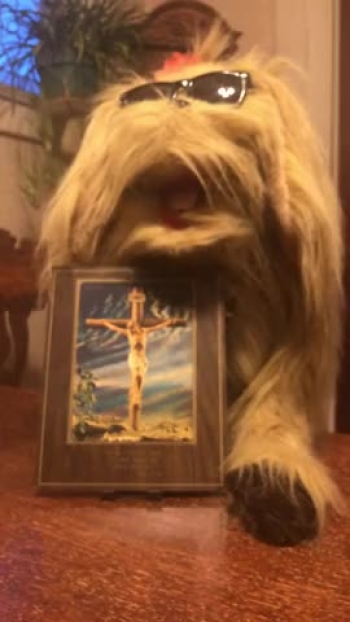 MeMe, Knox's faithful canine, talks about Jesus's Crucifixion, and Resurrection, and preparing a place for us to spend forever with Him.<br />Knox Evangelical Presbyterian Church is located in Kenmore, NY.  Find out more about all things Knox on our webpage at knoxepc.com.  Join us Live Sunday's at 10:30 AM on Facebook.com/KnoxEPC.   Prayer Request?  Email us at prayerchain@knoxepc.com, and our congregation will pray for you.  