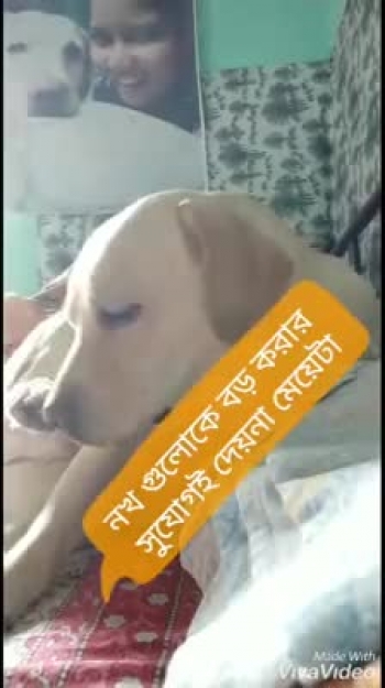 Sontu and tontu get together