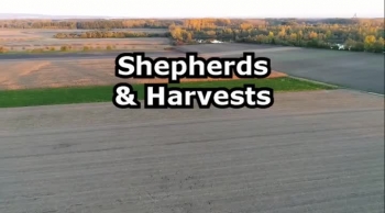 Shepherds and Harvests