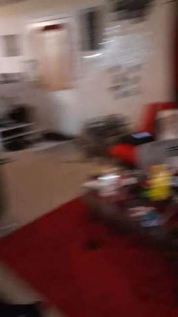 To celebrate my niece going to middle school and me graduating with my Master's Degree, my 6 years old decided to role play to congratulate the entire class of 2020. 