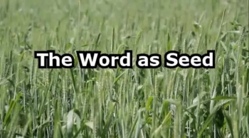 The Word as Seed