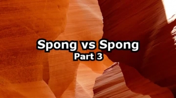 Spong vs Spong Part 3