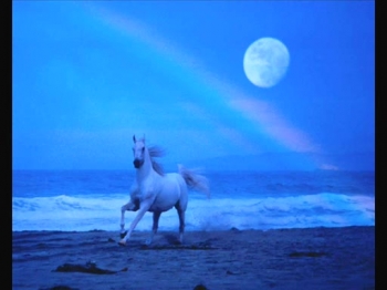 I Lost My Horses to the Moon - Doug Stambler 