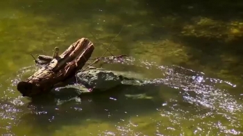 Chaque jour je marche par la foi.  