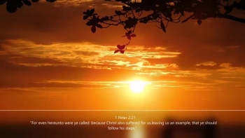 In this video the inspirational Bible scriptures with the relaxing music will have a calming effect on you and will encourage you to seek a peaceful lifestyle. <br />This is the first of 2 videos, so you’ll get another inspirational experience with the second one “Inspirational Bible Scriptures With Relaxing Music II. https://youtu.be/BoR8zvtodNg<br /><br />This video is from the channel Inspirationally Motivated  https://bit.ly/35I1ats<br />