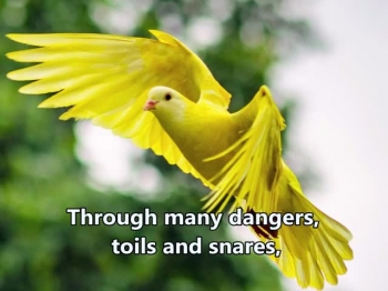 Ephesians 2:8 (KJV)  For by grace are ye saved through faith; and that not of yourselves: it is the gift of God:<br />I love playing traditional hymns on a diatonic harmonica, keeping my style of play, very simple. Here I have chosen to play on a diatonic harmonica in scale Db. The photographs of BIRDS In FLIGHT  are from various contributors in Pexel.com. I  express my gratitude to them.<br />