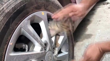 kitten rescue trapped under the wheel  The kitten rescue story will melt your heart <br />source https://youtu.be/eKAHKSpU66w