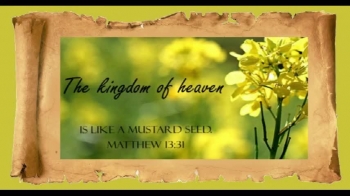 THE PARABLE OF THE MUSTARD SEED - Matthew 13:31-32 (Teen Bible