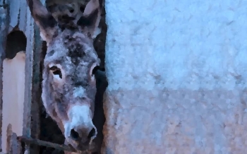 I’m pleased to share with you the premiere of my lyric video, “It Wasn’t a Silent Night After All.”<br /><br />This song was a true gift. I came home from a Christmas Eve service at our church, and Something was pushing me that I recognized as a “song nudge,” so I sat down at my piano in my living room, and this song just came out. <br /><br />The idea of the song is that when God chose to enter the world and become human, God didn’t choose perfect circumstances – so the song tries to capture the difficulty and the hardship of that holy night – because if God didn’t choose perfect circumstances when God came to earth, then that means God can enter into our imperfect circumstances too.<br /><br />I brought the idea to my co-writer, Nancy Beaudette, and together we crafted the idea into a song that retells the Christmas Story from a different vantage point.<br /><br />Maybe it can be a reminder that God didn’t come for perfect. God came in person – to real people and for all people, to show us how much He Loves us, and to save us with that Love. 