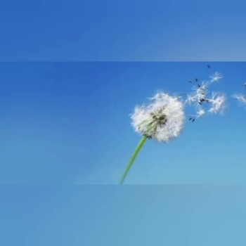 A reminder of God's presence in our lives to give us guidance and peace