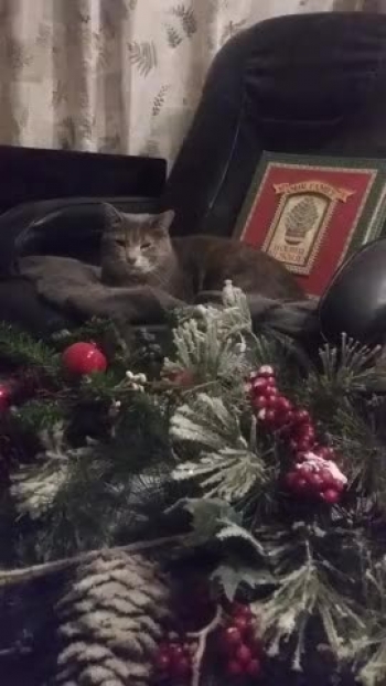 Isn't she beautiful. !!