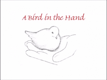 a Bird in the Hand 