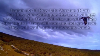 Wait upon the Lord