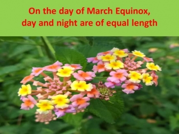 find when is the first day of spring 2021 USA Canada UK and other parts of the world. Official 1st day of spring inforamtion shared on https://www.123nextfullmoon.com/first-day-of-spring/<br />