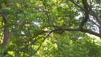Mankind has to open their eyes and, be more aware of all things in Life...( this is in connection w/ the statement in prev. Video. -- And,  that is of injustices, etc... )
