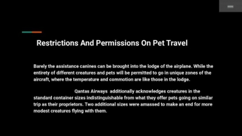 Pet Travel policies 