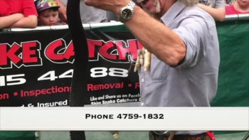 <br />I catch snakes in the Blue Mountains NSW Australia.<br />##<br />Blue Mountains Snake Catcher<br />Snake Catcher Blue Mountains<br /><br />