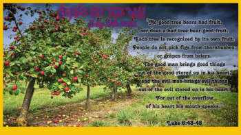 Verse of the Day<br />July 13th 2021<br />Luke 6:43-45