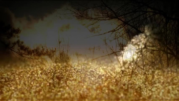 Praise and Worship from the CD "Jacob's Praise"