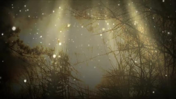 From the Praise and Worship CD "Jacob's Praise". More free praise and worship music on my website at https://jimfrench137.wixsite.com/praise.