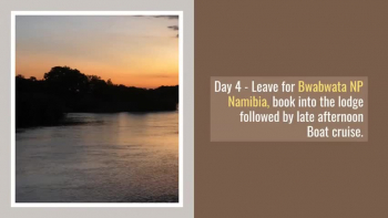 African Wildlife Safaris - WAC Photo Safaris