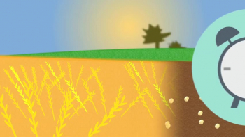 More Videos and download: www.biblecartoon.net