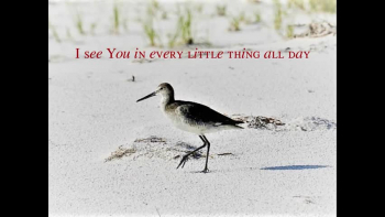 Everything by TobyMac ~ God is in everything ~ All Day!