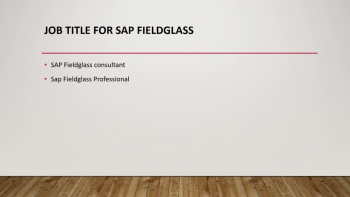 SAP Fieldglass Online Training 