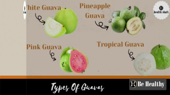 The one of the guava benefits  is that guava helps to reduce the effect of blood sugar because it is high in polysaccharide, one type of protein substance. Guava is known as the “ Queen ” of all the fruits because it has high level of medicinal values and also health benefits of guavas is  in abundance. Guava is beneficial because it is fully filled with the nutrients and minerals.<br />