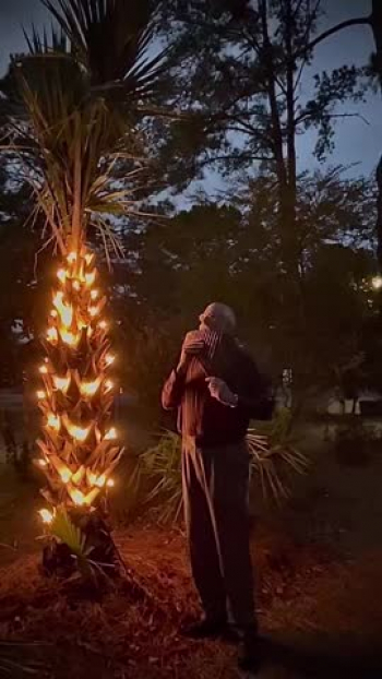 A Panflute arrangement of O Holy Night