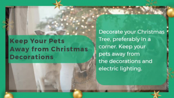 Christmas pet safety tips 