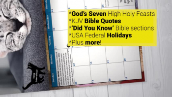 12 MONTH BIBLICAL CALENDAR 2022 (Kitten Edition – Volume 1) 