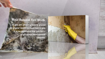 One of the most important things you should consider when choosing a SERVPRO of Fort Worth company is the company's offer of local service. This means that the company will be able to come to your home and clean it as well as any other areas in your home that need attention. It's also important to make sure that the company you choose offers a high level of customer service.