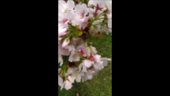 When Jesus comes into your life your view of life is completely changed. Song is written by Ray Hummel III.  