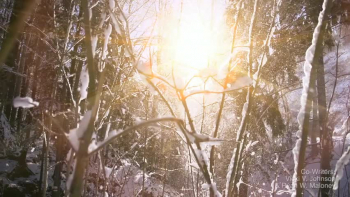 Christmas Song<br /><br />Featured Artist - Ryan Whyte Maloney<br />(The Voice NBC - Team Blake)<br /><br />Co-Writers: Vicki Johnson & Ryan Whyte Maloney 