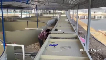 200T/hr indoor ras fish farming system for largemouth fish.<br />Essential equipment: drum filter,degasser,protein skimmer,fish tanks,UV sterilizer,biofilter system etc.