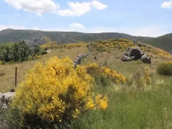 A song of inspiration and meditation sung by Dudley Smith