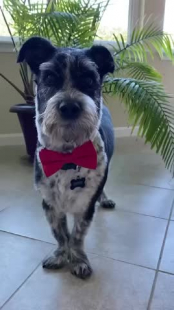 Ready for Church!