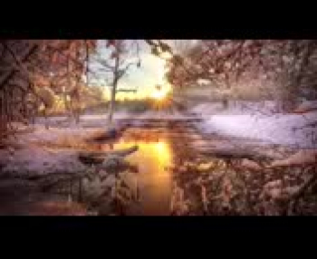 Winter morning sunrise with snow_mpeg4(0)