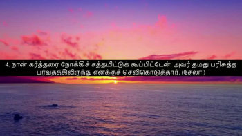 Tamil Bible