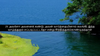 TAMIL BIBLE