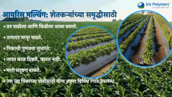 Mulch Film and mulching paper are a revolution in the agriculture industry as it presents an economical and environment-friendly protective solution for crops and soil. So if you are looking to make a breakthrough in your farm, the mulching film in agriculture is what you should be looking at. Mulch film not only maintains the quality of soil but also aids in the faster growth of plants. By reflecting light, it ensures control over the growth of weeds as a photosynthesis process will not be carried out.