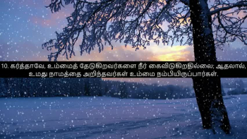 Tamil Bible