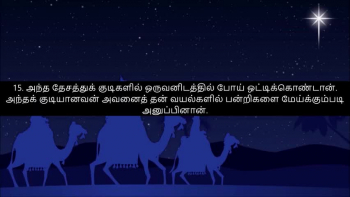 Tamil Bible