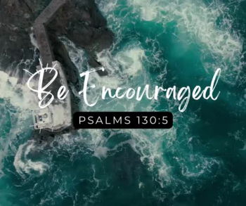 I wait for the Lord, my whole being waits, and in his word I put my hope.