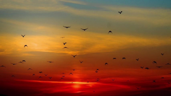 Original music video 