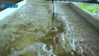 Biofiltration process：<br />A biofilter is a bed of media on which microorganisms attach and grow to form a biological layer called biofilm. Biofiltration is thus usually referred to as a fixed–film process. Generally, the biofilm is formed by a community of different microorganisms (bacteria, fungi, yeast, etc.), macro-organisms (protozoa, worms, insect's larvae, etc.) and extracellular polymeric substances (EPS). The aspect of the biofilm is usually slimy and muddy.